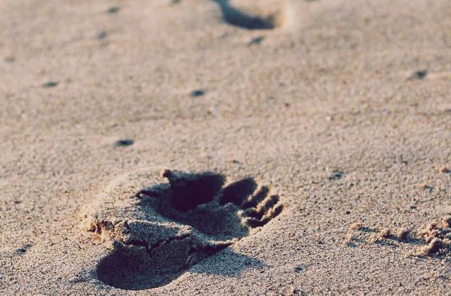 How to Measure Security Awareness Program ROI